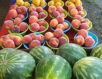 30A Farmers Market