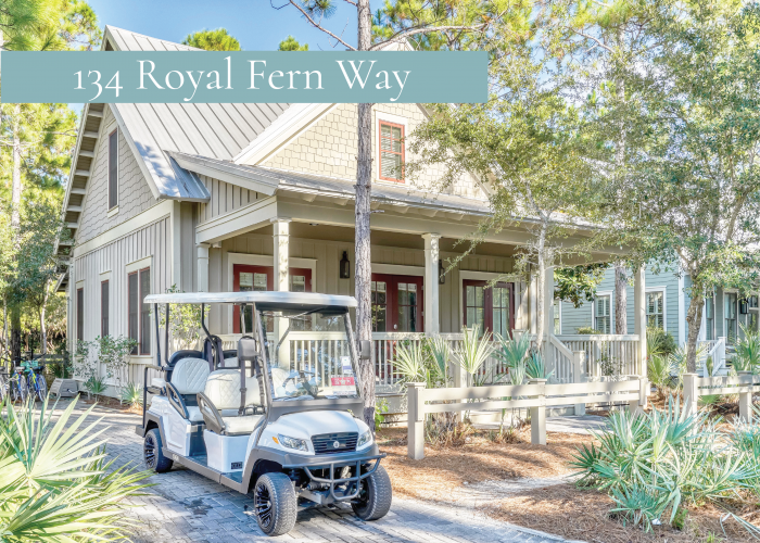 Instagram Sanders Beach Rentals