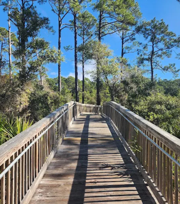 Camp Helen State Park