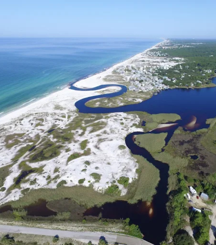 Grayton Beach State Park