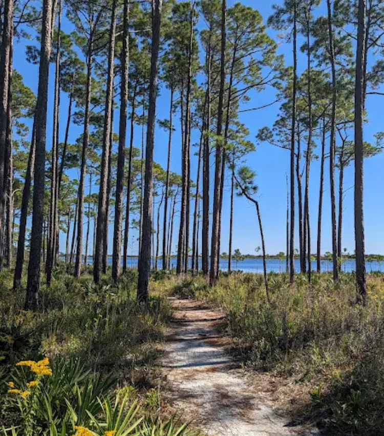 Topsail Hill Preserve State Park